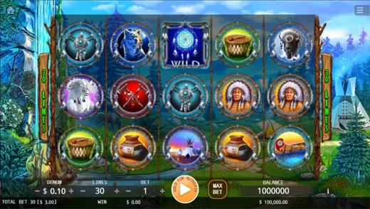 Dream Catcher